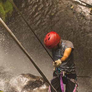 Wildes Costa Rica: Nervenkitzel, Natur und Abenteuer