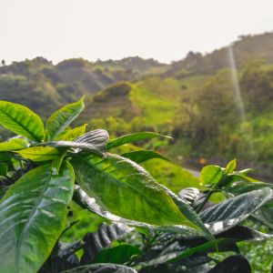 Costa Rica Intiem & Avontuurlijk