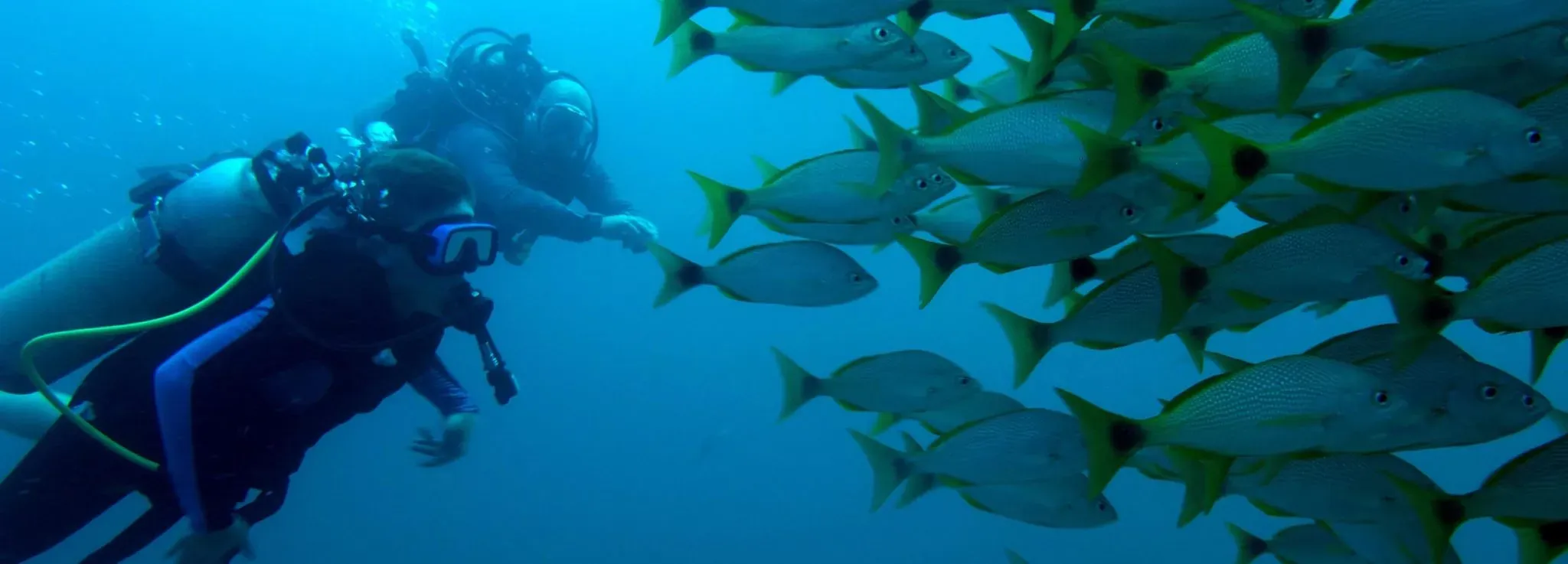Diving