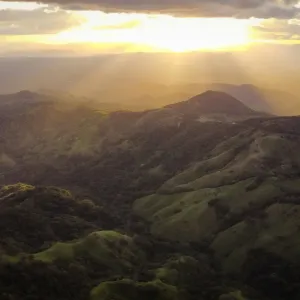 Private Transfers oder Mietwagen in Costa Rica?