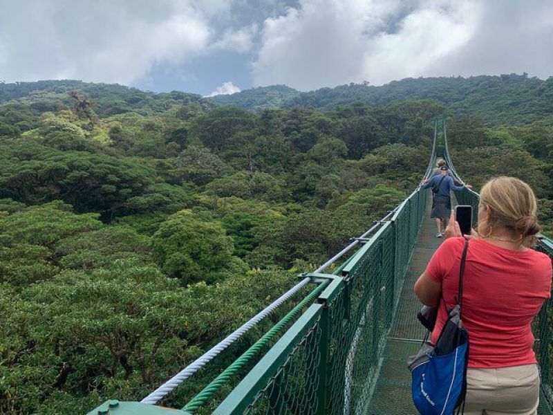 From Jungle to Coast: A Family Adventure in Costa Rica