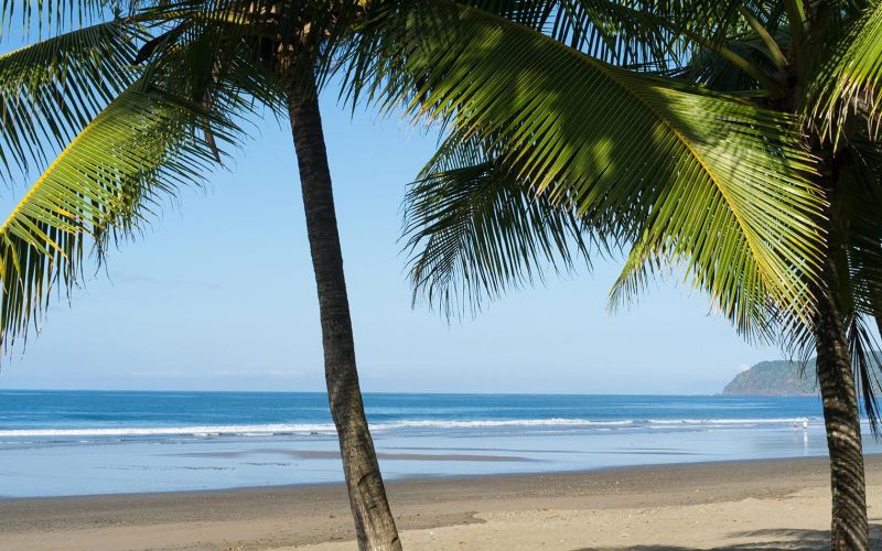 Discover the Magic of Costa Rica: A Family Vacation Guide to Unforgettable Adventures