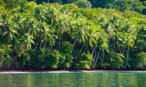 Osa and Corcovado: The Wildest Corner of Costa Rica