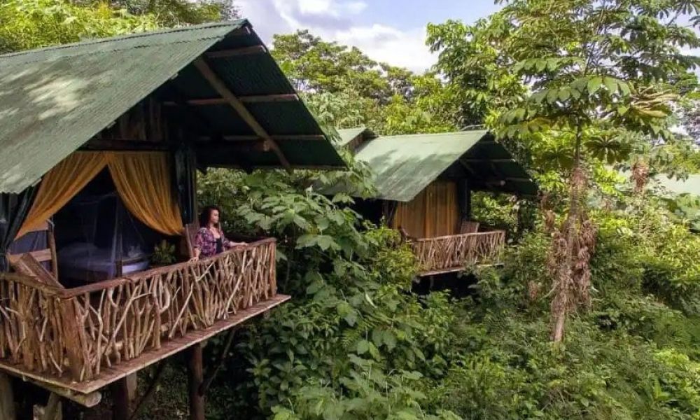 Costa Rica’s Best Treehouse Getaways: Eco-Friendly Luxury in Nature