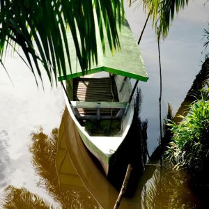 Door de top-vogelgebieden van Costa Rica: hooglanden, nevelwoud en regenwoud