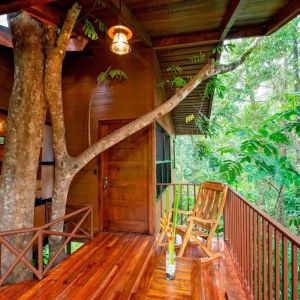 Costa Rica Nature & Wildlife – Green Season Special