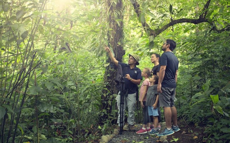 Family Explorer: Volcano, Rainforest & Beach
