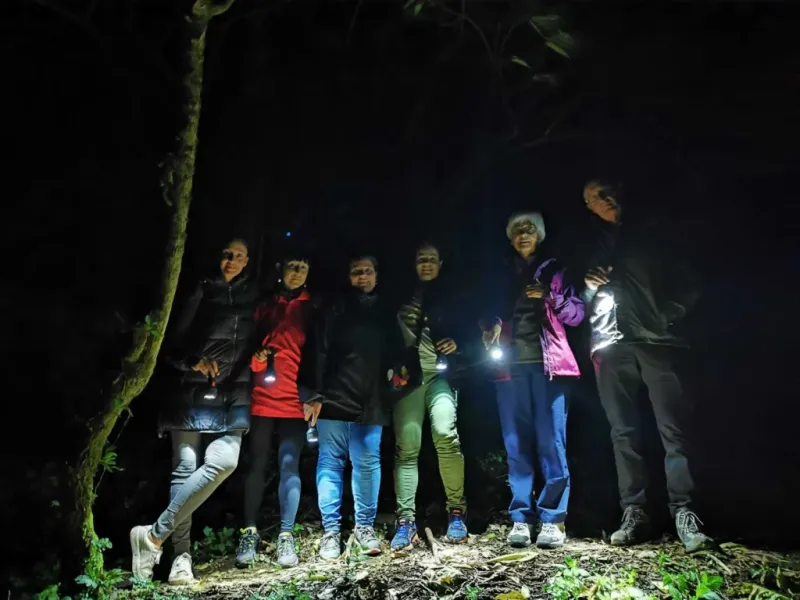 Adults: Night Walk to Observe Wildlife