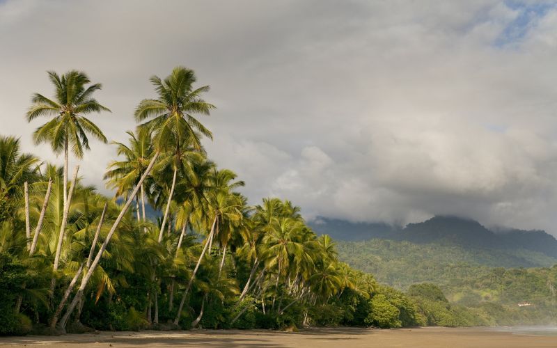 Costa Rica Inolvidable (8 días)