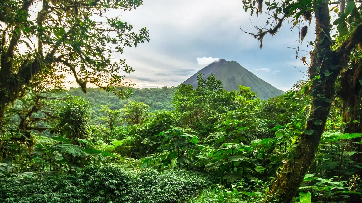 Arenal Volcano rising above dense rainforest and moss-covered trees in northern Costa Rica