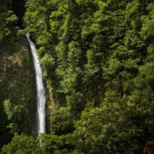 Maravillas Naturales de Costa Rica (12 días)