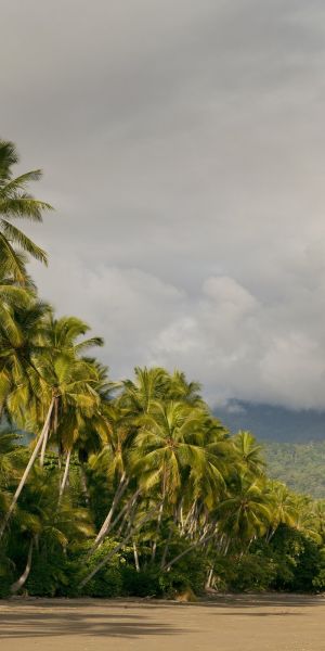 Costa Rica Inolvidable (8 días)
