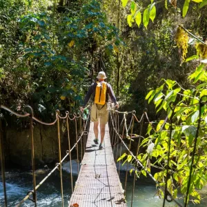 Wälder, Strände und Vulkane: All das erleben Sie bei einem Besuch in Costa Rica