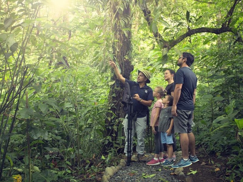 Family Explorer: Volcano, Rainforest & Beach