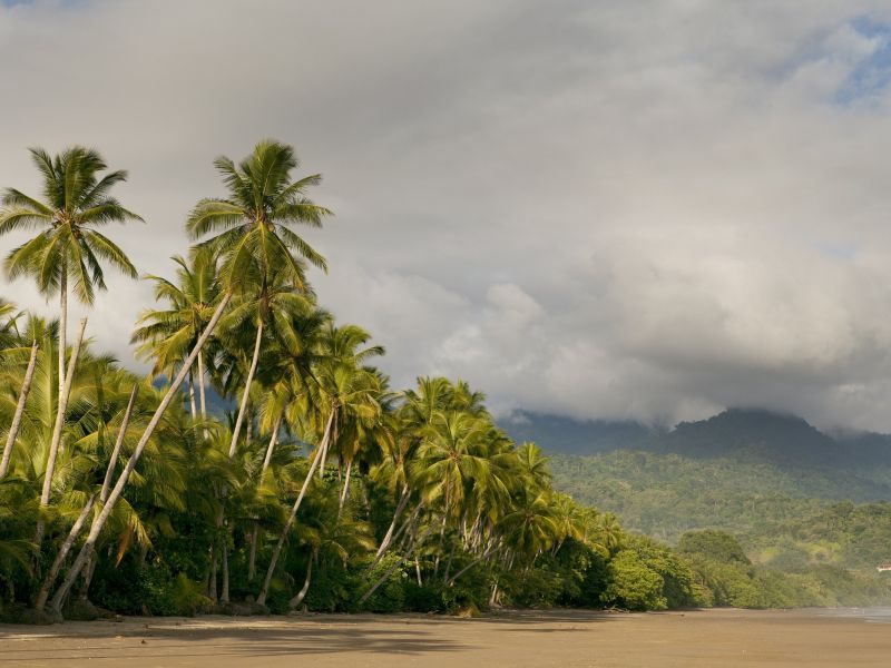 Costa Rica Inolvidable (8 días)