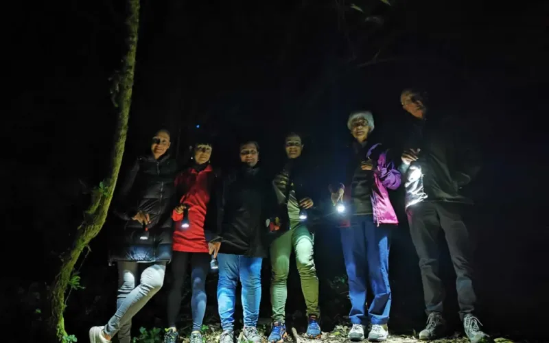 Night Walk to Observe Wildlife