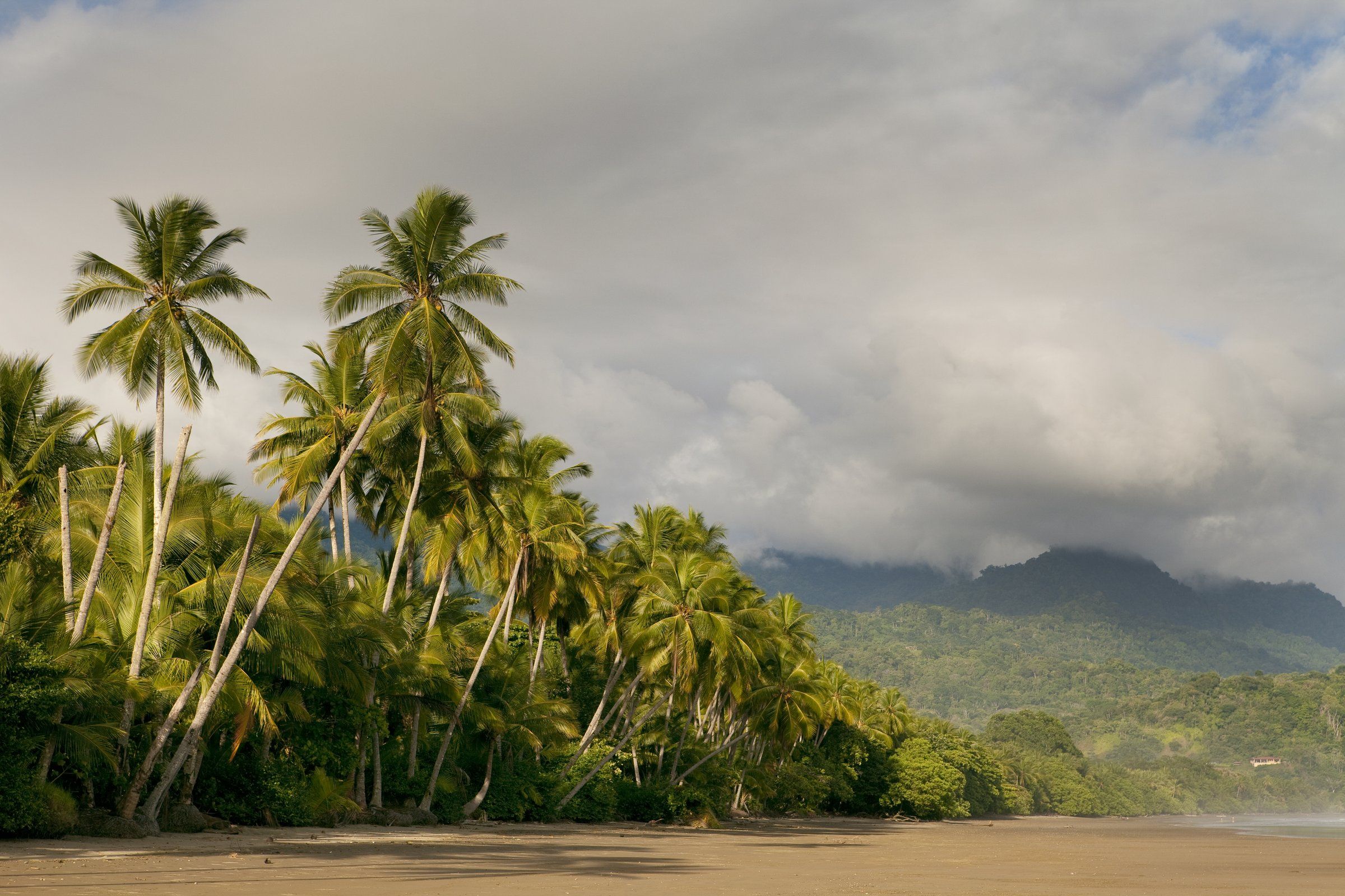 Playa de Uvita, Costa Rica