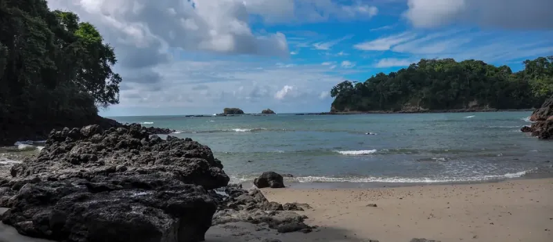 Escursione guidata nel Parco Nazionale Manuel Antonio