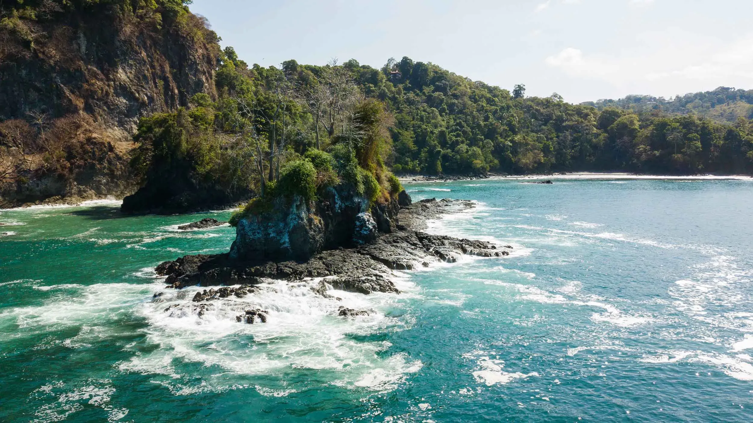 "Green beach surrounded by lush trees and dense vegetation under a bright sky."
