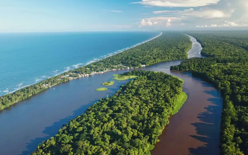 Tortuguero: Kanäle, Regenwald und Meeresschildkröten abseits der Karibikküste