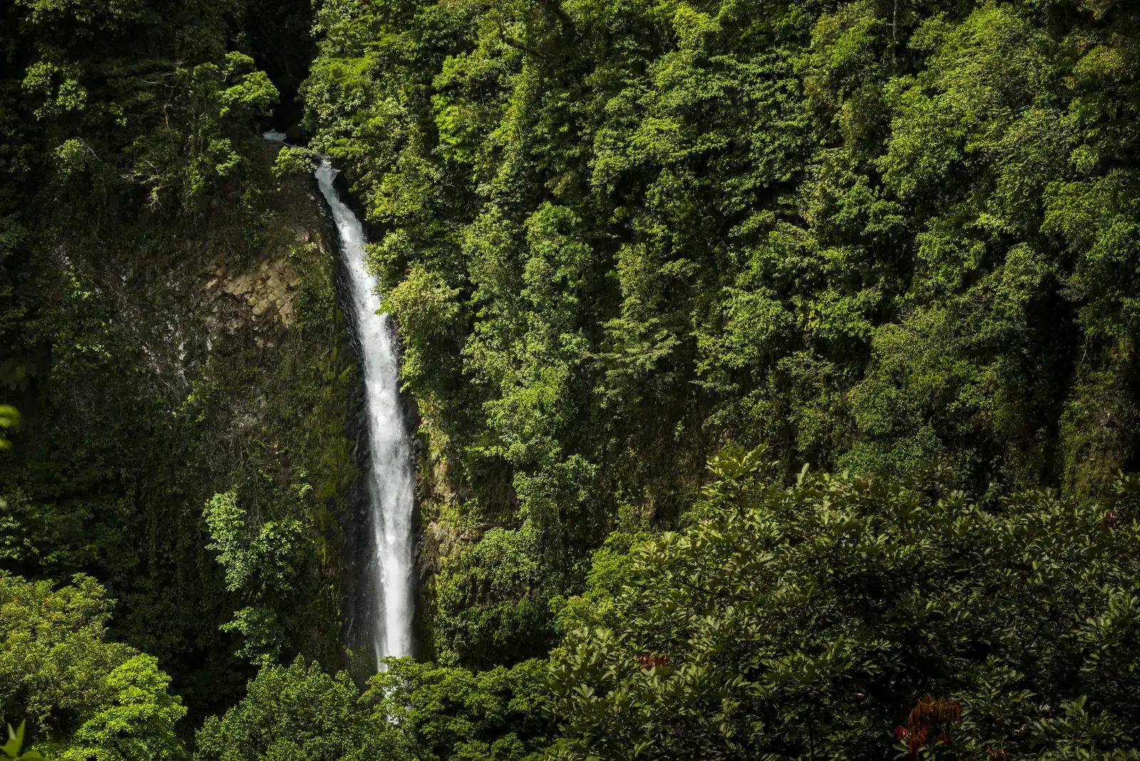 Catarata en La Fortuna, Costa Rica