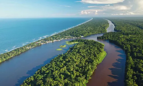 Tortuguero: Kanäle, Regenwald und Meeresschildkröten abseits der Karibikküste