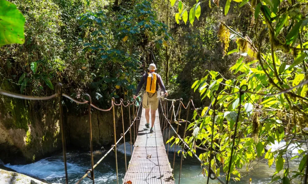 Forests, beaches and volcanoes: All this can be enjoyed when visiting Costa Rica