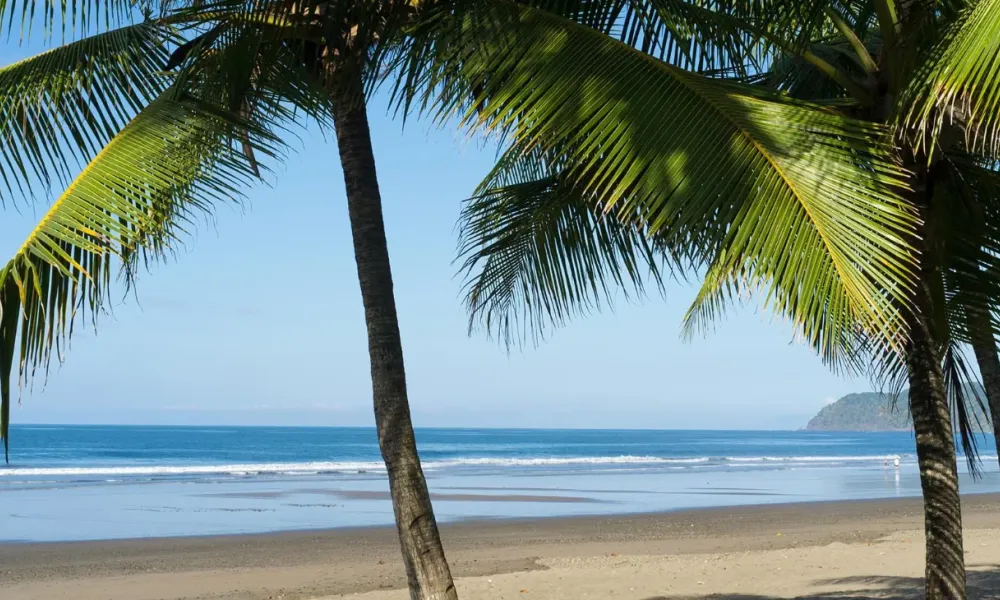 Discover the Magic of Costa Rica: A Family Vacation Guide to Unforgettable Adventures