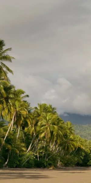 Costa Rica Inolvidable (8 días)
