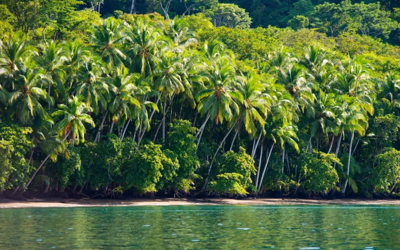 Osa and Corcovado: The Wildest Corner of Costa Rica