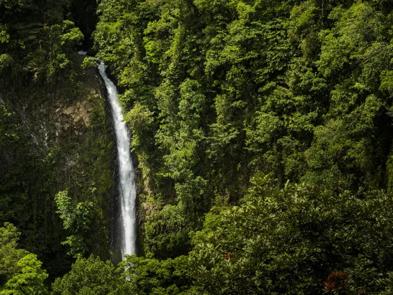 Maravillas Naturales de Costa Rica (12 días)
