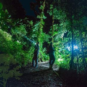 Costa Rica Classic – Green Season Special