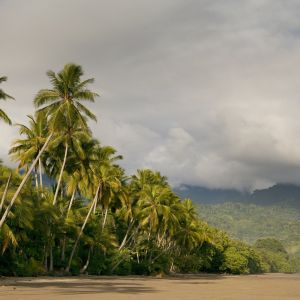 Costa Rica Inolvidable (8 días)