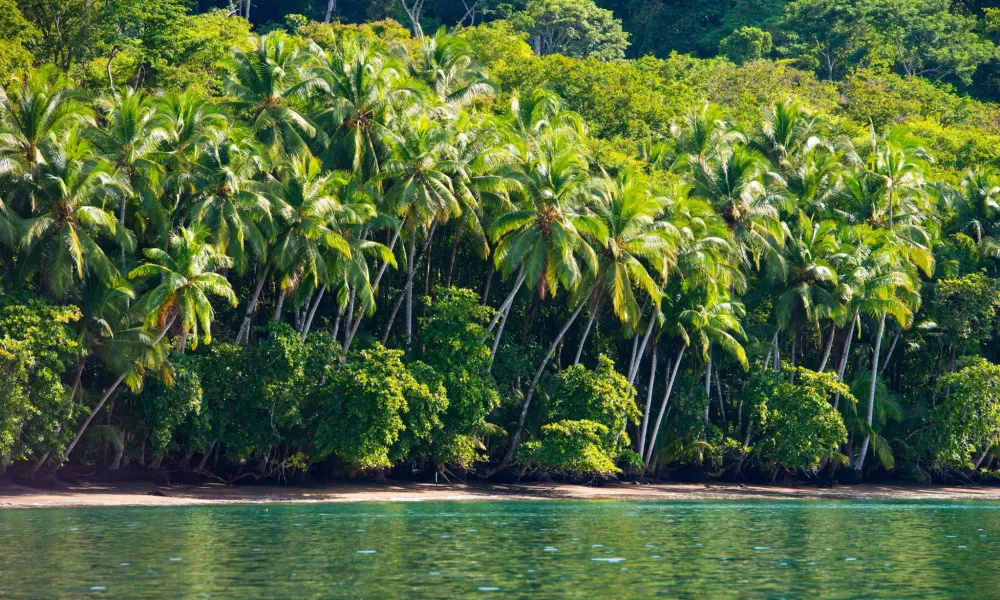 Osa and Corcovado: The Wildest Corner of Costa Rica