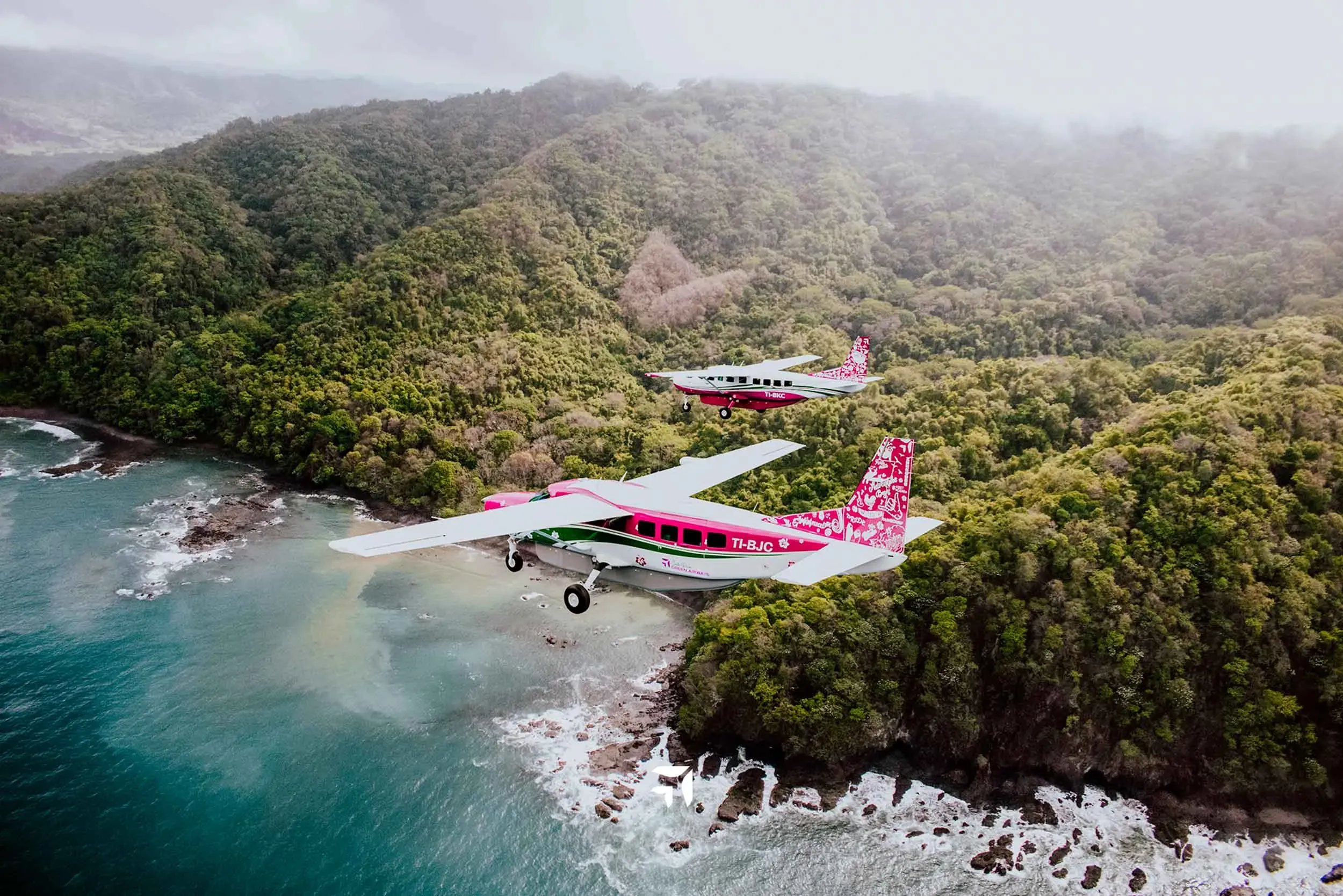 "Two small planes flying over a beautiful beach with a large forest in front of the shoreline."