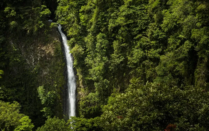 Maravillas Naturales de Costa Rica (12 días)