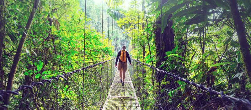 Aerial Tram, Ziplines & Hanging Bridges