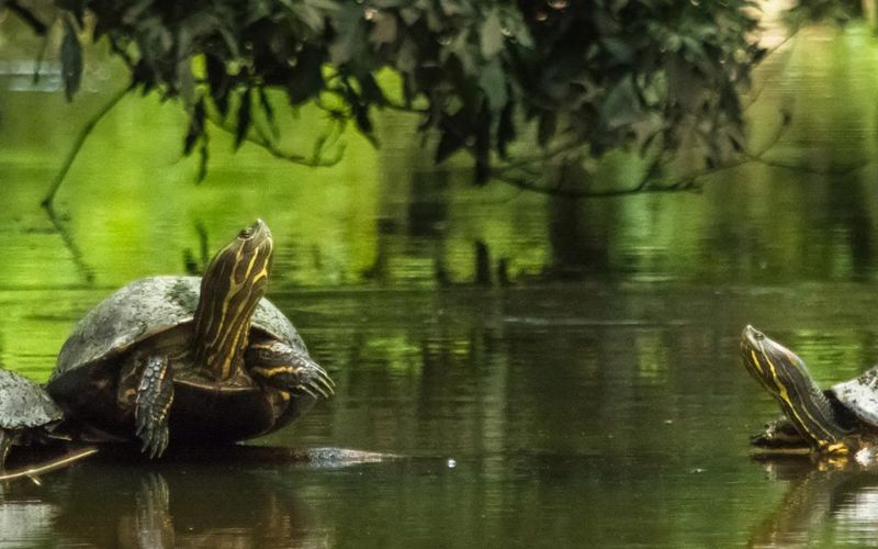 Slow Travel in Costa Rica: Why Taking Your Time Makes the Trip Better