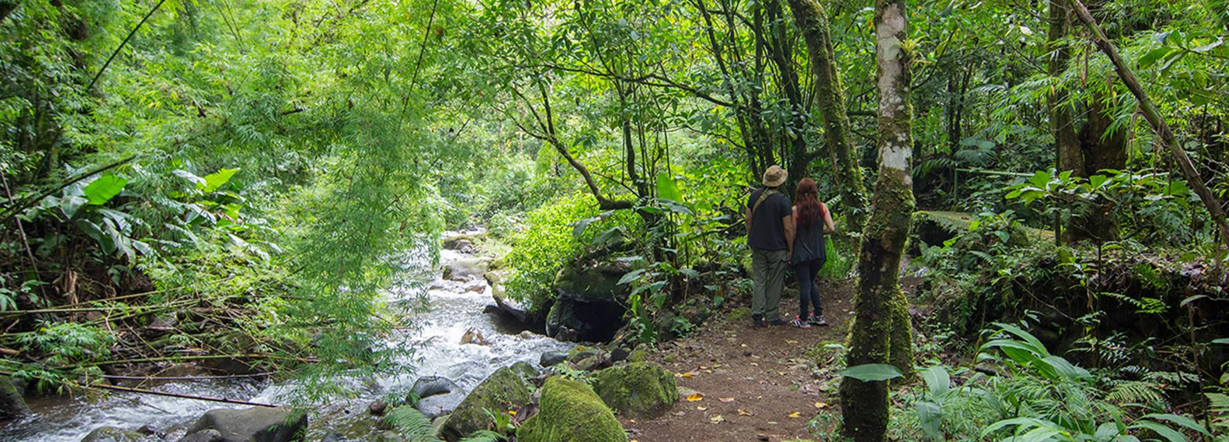River running through the cloud forest at Bajos del Toro, Costa Rica