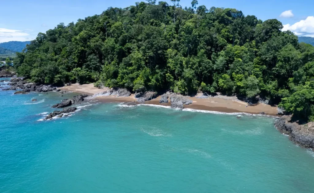 Osa Peninsula Costa Rica