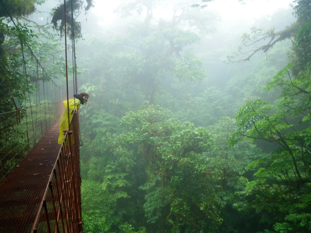 Tourist on a misty hanging bridge in the Monteverde Cloud Forest, Costa Rica.