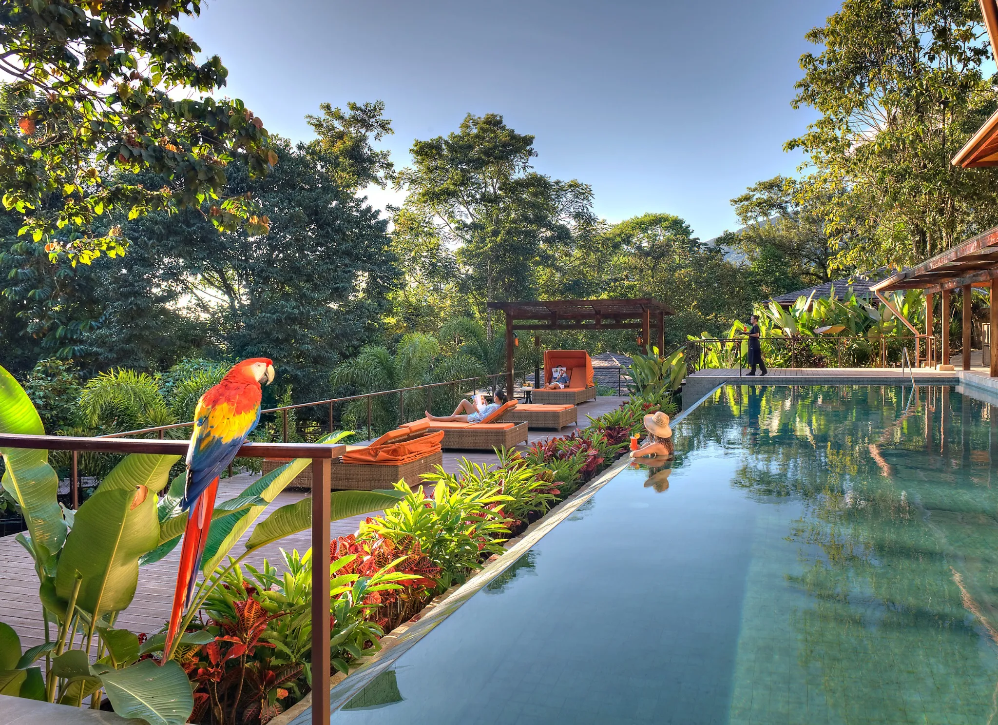 Hotel pool surrounded by tropical planting in Costa Rica
