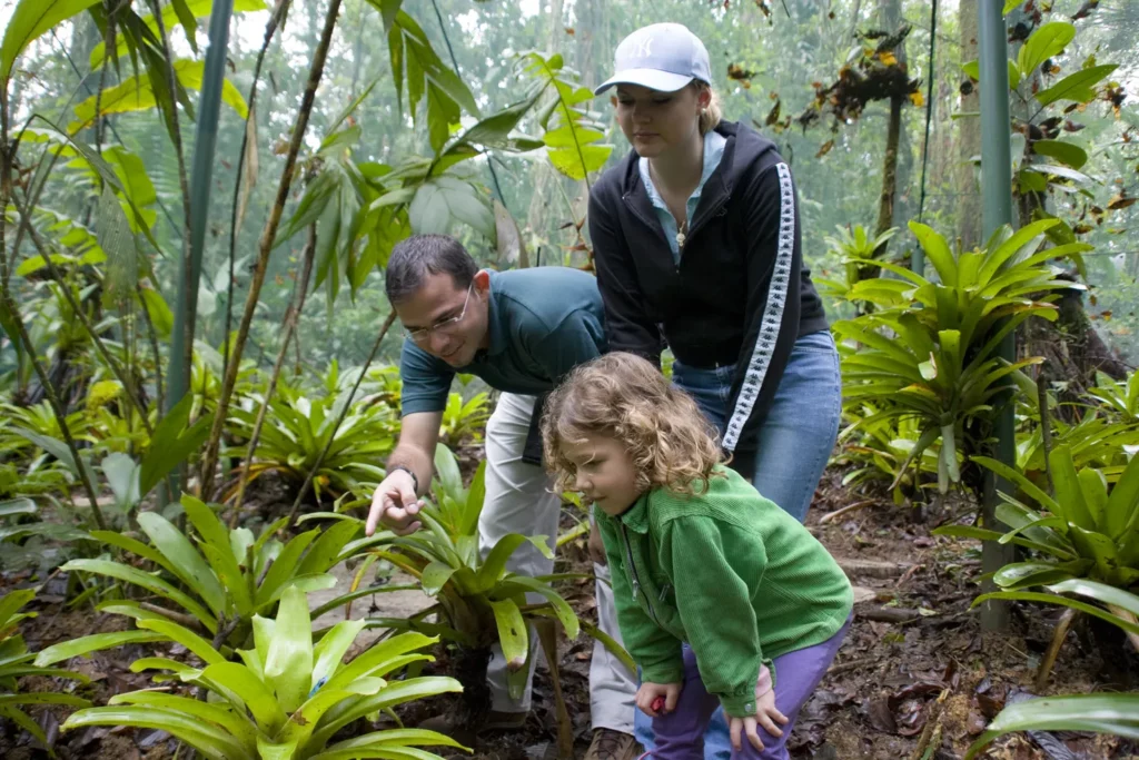Adulto y niño observando de cerca algo en la selva de Costa Rica