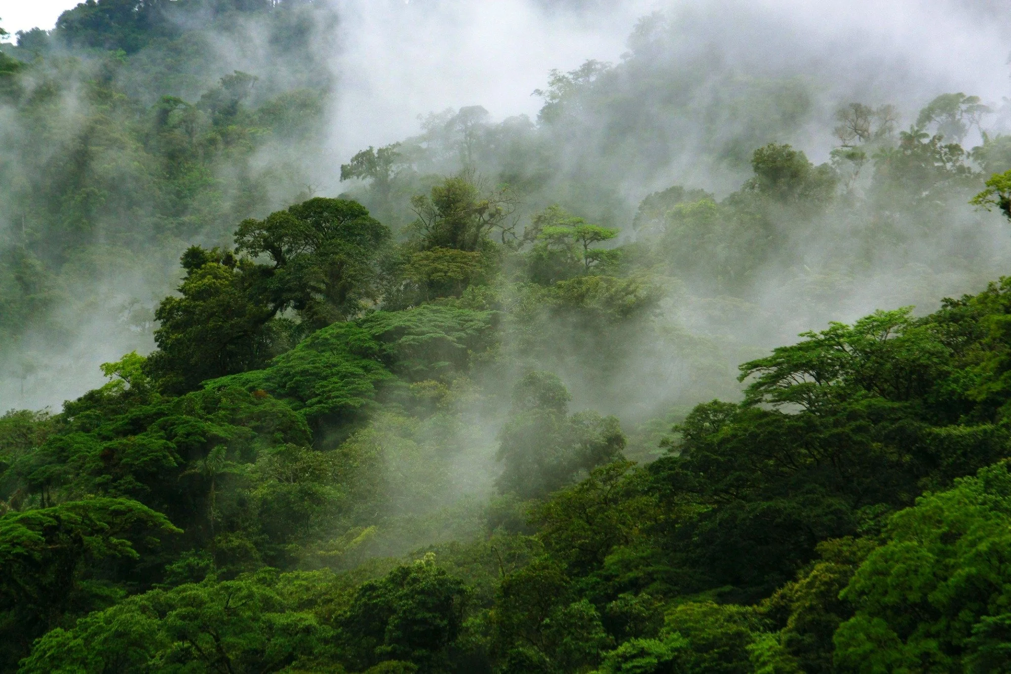 Misty rainforest-covered mountains in Costa Rica