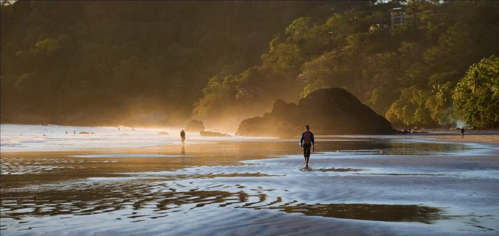 A tropical beach with palm trees and gentle waves in Costa Rica.
