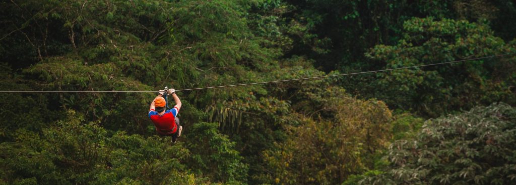 Luiaard in Costa Rica, duurzaam toerisme in Costa Rica