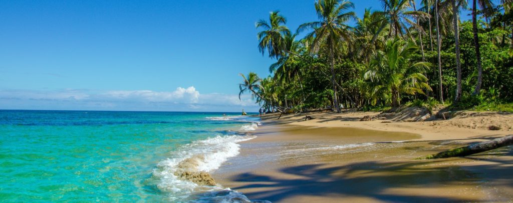 Ambiente y costa de Puerto Viejo, en el Caribe Sur