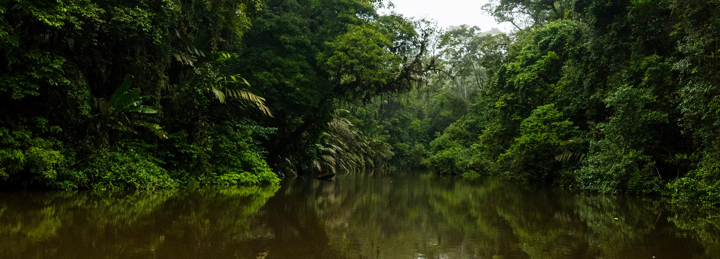 Rainforest canal at Tortuguero, Costa Rica