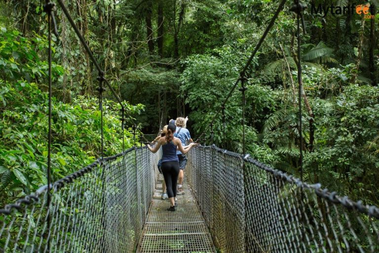 Puentes colgantes en el Parque Nacional Volcán Arenal