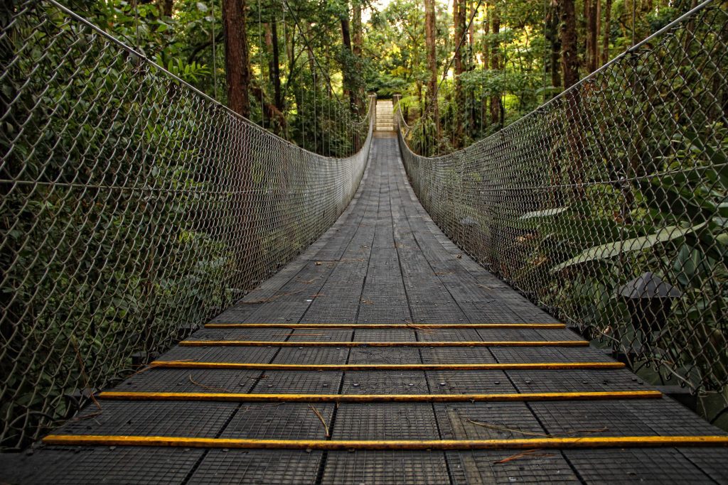 Rainforest of Costa Rica, the archaeology of Costa Rica